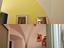 Immagine 15