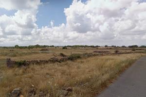 Terreno vasto in campagna di Ghilarza (Oristano)