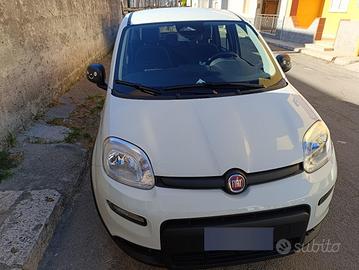 auto km0