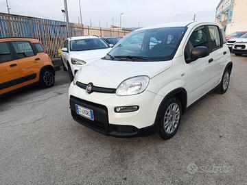 Fiat Panda 1.0 firefly hybrid s&s 70cv 5p.ti