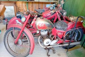 Moto benelli leoncino 125