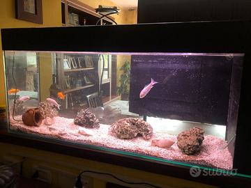 Acquario completo 240 litri