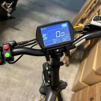 Bici elettrica 250w armony