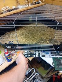 Gabbiett per animali