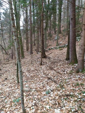 Terreno Boschivo di 2.240 mq. a Tonezza del Cimone