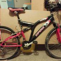 2 Mountain Bike da sistemare