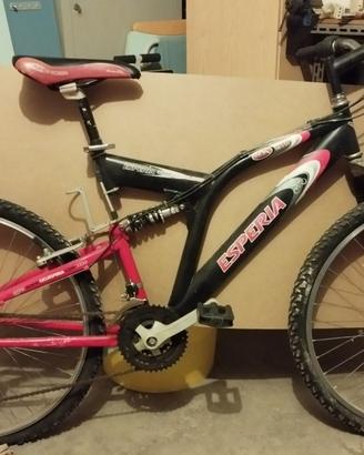 2 Mountain Bike da sistemare