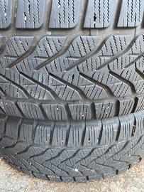 Pneumatici Invernali 225/65 R17 106H