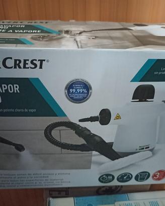 Pistola igienizzante a vapore.