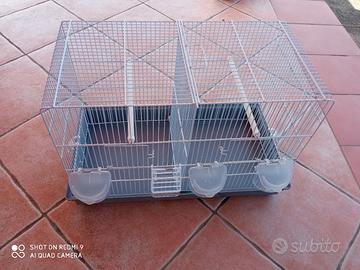 Gabbia cova uccelli con divisorio