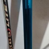 roubasienne colmic 9mt