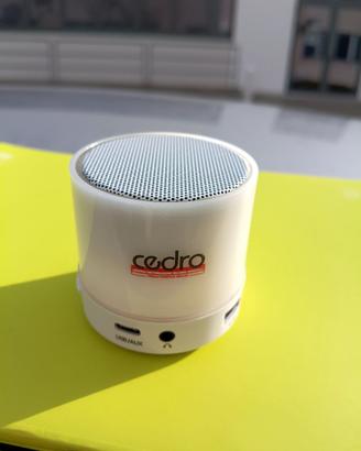 Cassa Bluetooth Portatile Speaker Altoparlante
