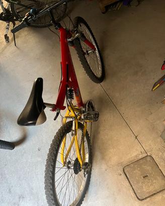 Bici ragazzo ruota 24