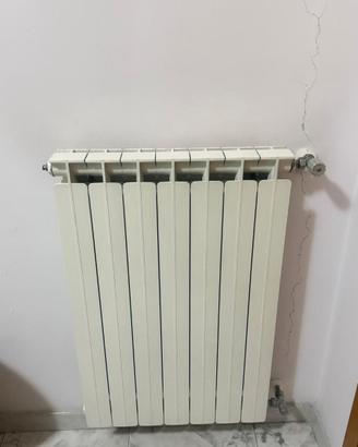 Termosifone o radiatore in alluminio