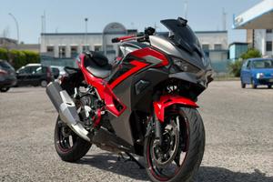 Kawasaki ninja 500se