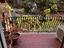Immagine 26