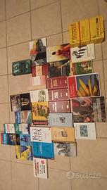 Vari libri narrativa, viaggio, saggio, fumetti ecc