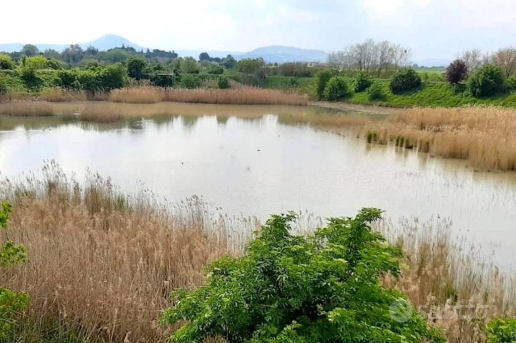 Immobile in asta di 295969 m² a Forlimpopoli - Vista 4