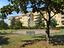 Immagine 20