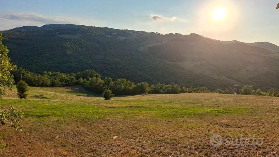 Rustico a Savigno con 10ha di terreno - Vista 5