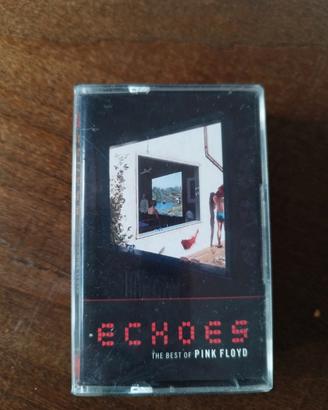 doppia cassetta audio Pink Floyd