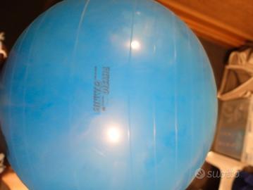 Palla Physio Gym