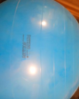 Palla Physio Gym