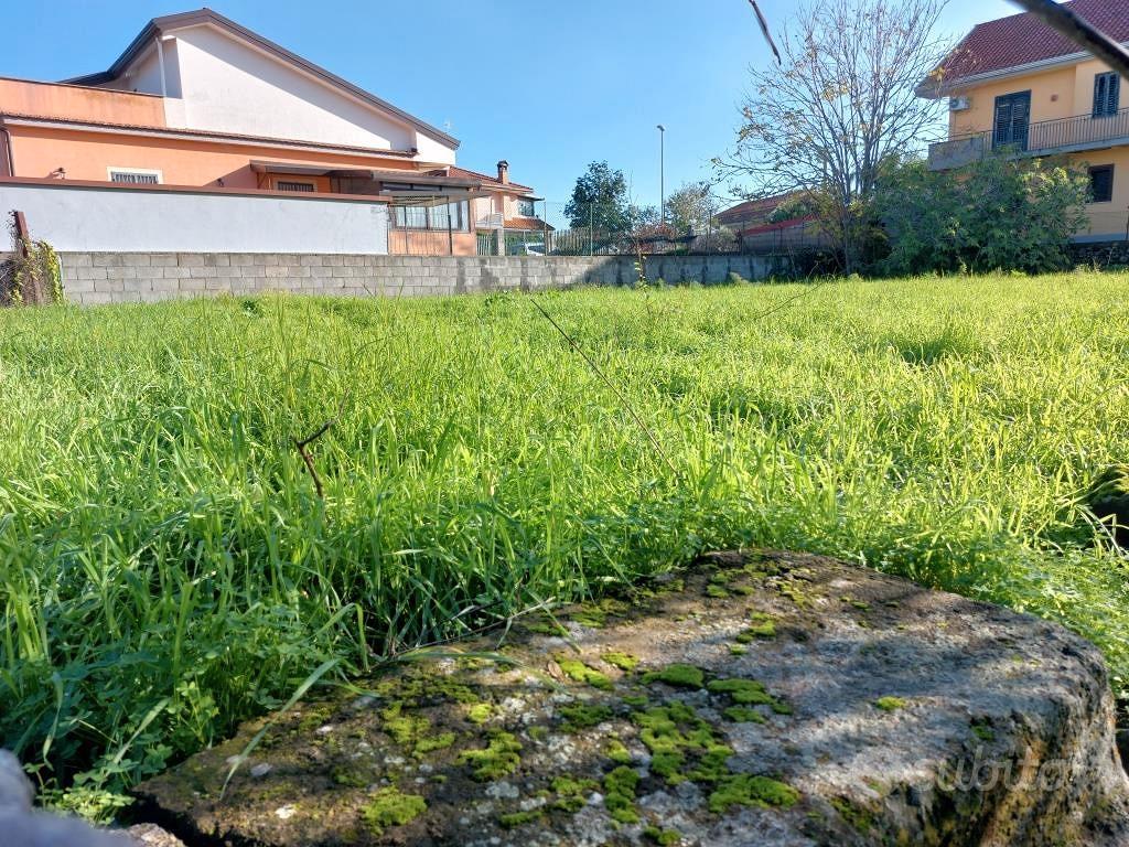 Terreno agricolo 1000 mq circa s.m. la stella - Altro