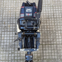 Motore fuoribordo Evinrude 521 25cv