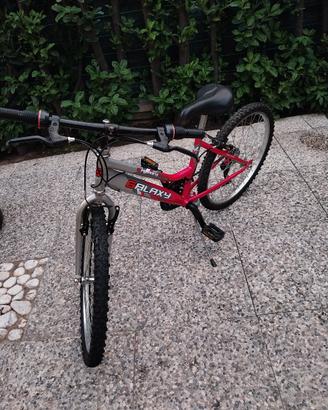 Bici MTB Bambina Galaxy 24