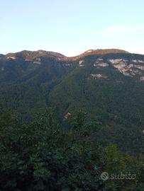 Maso singolo a 13 km da Rovereto.
