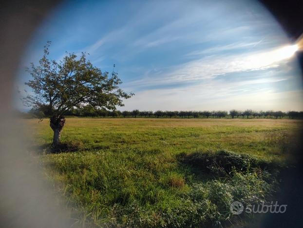 Terreni agricoli zona Rivolto