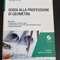 Guida alla professione da geometra
