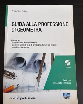 Guida alla professione da geometra