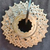 Shimano C8-HG80-9 velocità