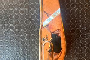 Carter Catena Harley davidson FL FLH