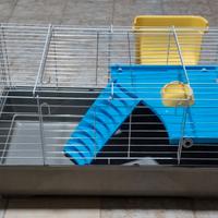 gabbia per coniglietto nano 