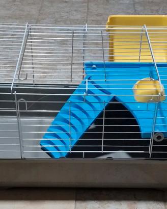 gabbia per coniglietto nano 