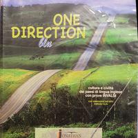 One direction Ediz. blu 9788897837381