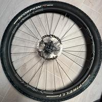 Ruote 29 drc mozzi dt swiss 240 boost