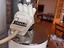 Immagine 2