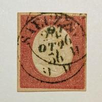 Antichi Stati Sardegna.C.40 Annullato Saluzzo.