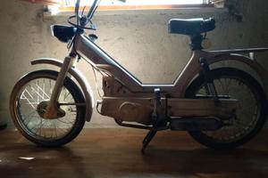 Motorino Guzzi