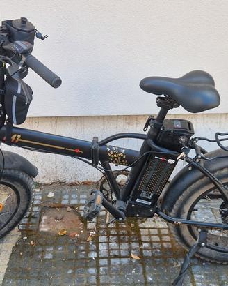 Bici assistita