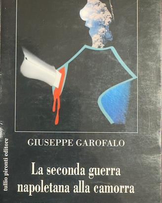 La seconda guerra napoletana alla camorra