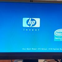 schermo pc lcd 19 pollici