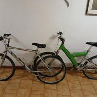 Coppia biciclette