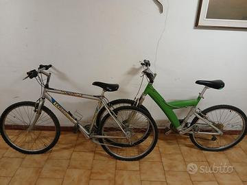 Coppia biciclette