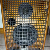 Amplificatore SR Technology JAM 100