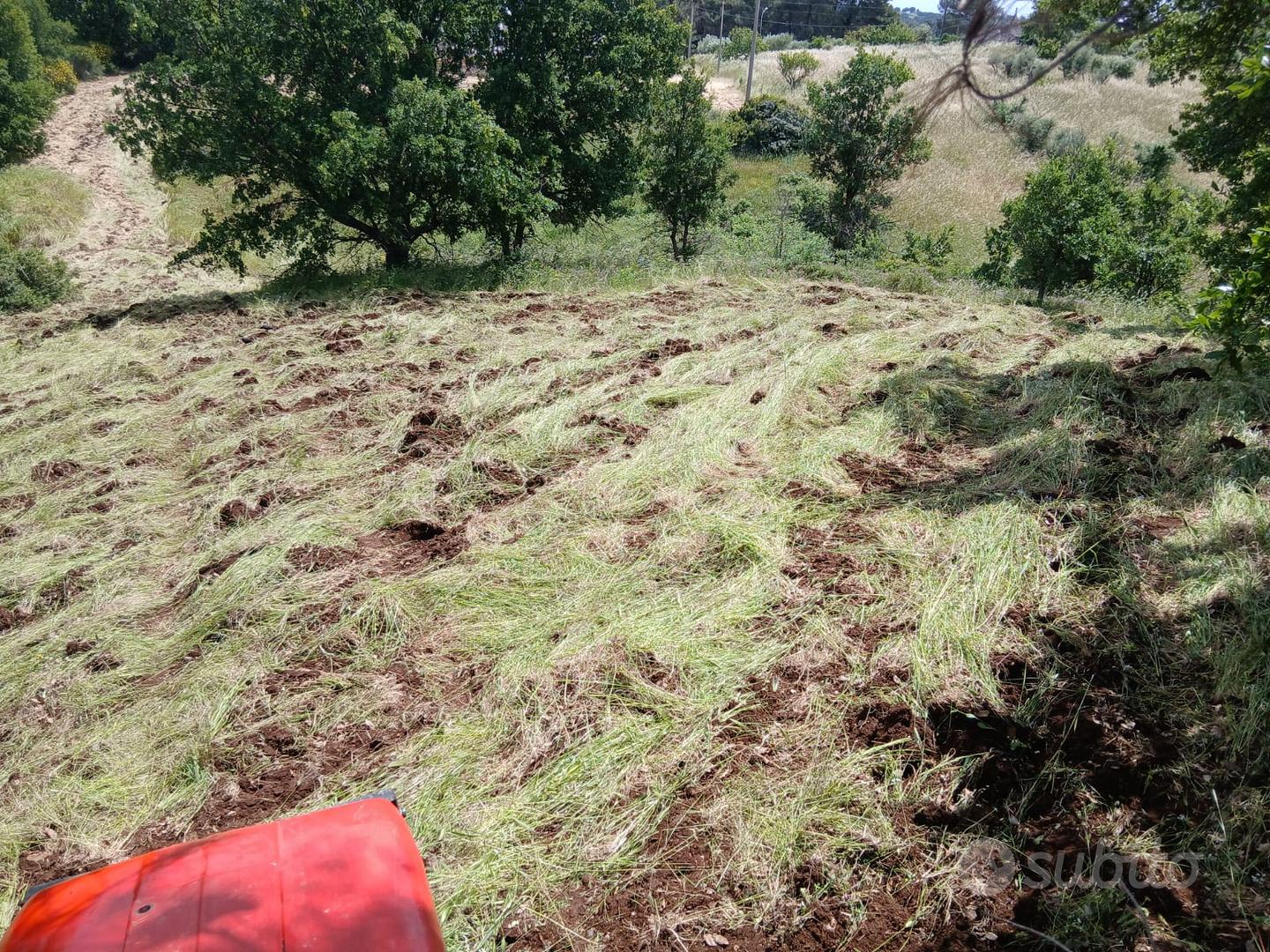terreno seminativo con pozzo - Vista 5